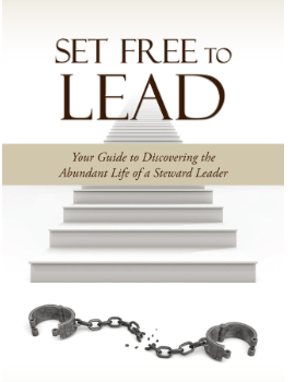 Set Free to Lead Book